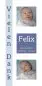 Preview: Geburtskarte Babykarte DIN Lang hoch Felix blau
