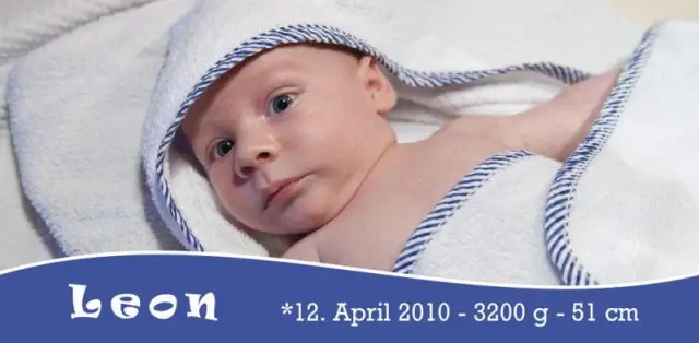 Geburtskarte Babykarte DIN Lang quer Leon blau