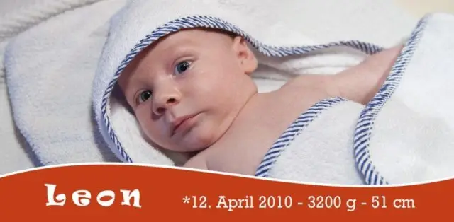 Geburtskarte Babykarte DIN Lang quer Leon orange