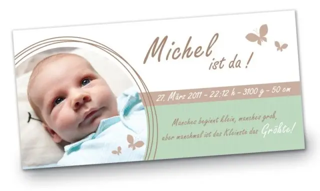 Geburtskarte Babykarte DIN Lang quer Michel gruen