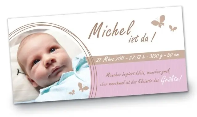 Geburtskarte Babykarte DIN Lang quer Michel rosa
