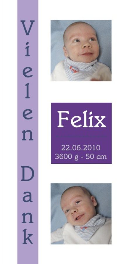 Geburtskarte Babykarte DIN Lang hoch Felix lila