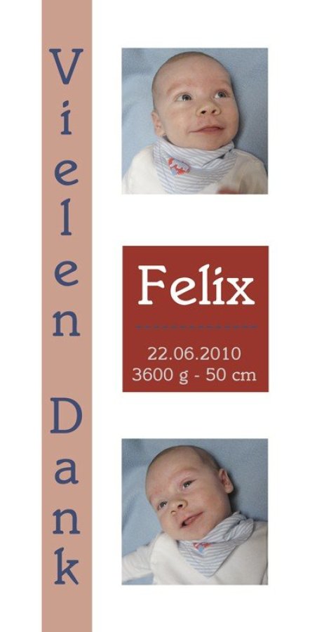 Geburtskarte Babykarte DIN Lang hoch Felix rot