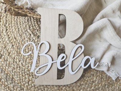 Namensschild Schriftzug Lasercut 